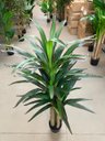 Ver imagem 4 de Planta Artificial Yucca Árvore Realista para Decoração 150cm, Plantas Artificiais Decorativa.