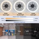 Ver imagem 3 de Lustre Ventilador Pendente Multicor E27 Controle Remoto Bivolt