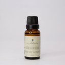 Ver imagem 1 de Essência 20ml Flor de Cotton M.Victoria