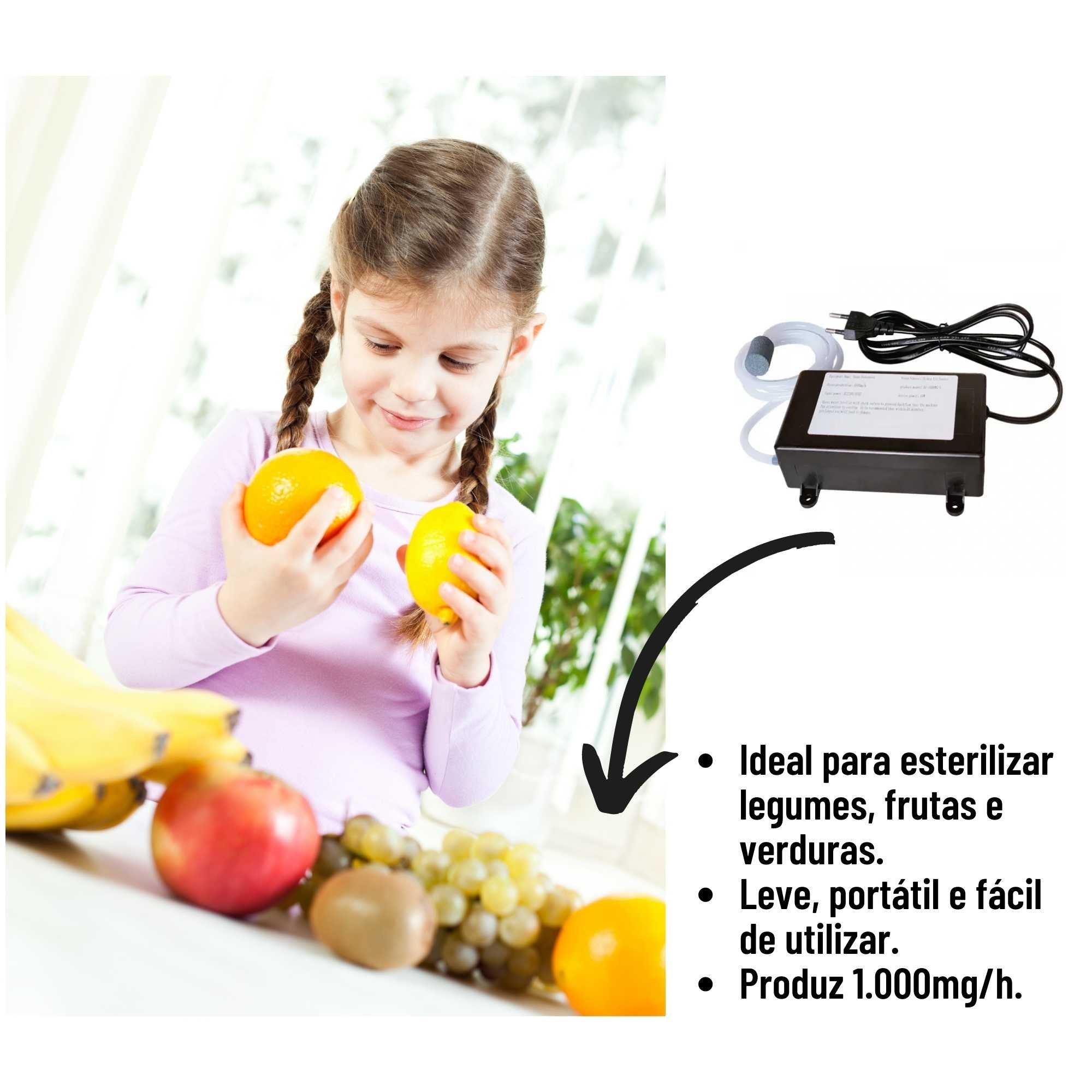 Gerador de Ozônio Higienização de Água e Alimentos1000mg/h - 220V - 3