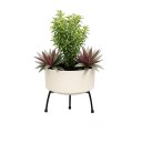 Ver imagem 4 de Suporte para Vasos de Plantas em Ferro Tripé Cor Preto Reforçado