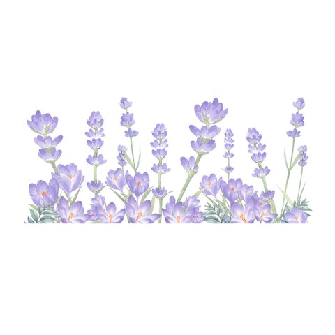 Adesivo de Parede Flores Lavanda - 1 Cartela