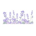 Ver imagem 1 de Adesivo de Parede Flores Lavanda - 1 Cartela
