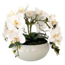 Ver imagem 1 de Arranjo de Mesa com 4 Flores Orquídeas Brancas Vaso Grande