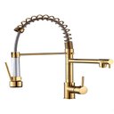 Ver imagem 1 de Torneira Gourmet 50cm com Misturador Monocomando Dourada de Bancada belcca tgm50d-bl