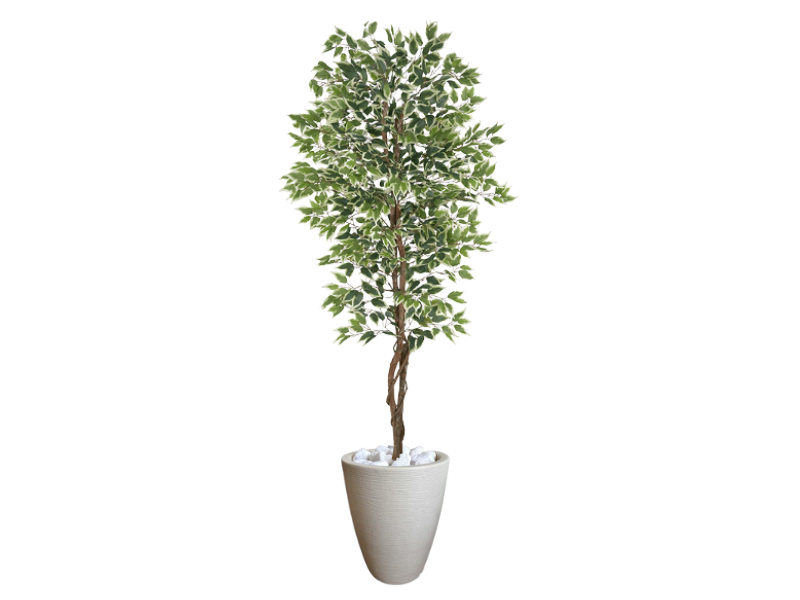Planta Artificial Ficus Verde Creme 2,10m kit + Vaso Redondo Cinza 40cm - 1