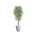 Ver imagem 1 de Planta Artificial Ficus Verde Creme 2,10m kit + Vaso Redondo Cinza 40cm