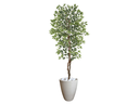 Ver imagem 1 de Planta Artificial Ficus Verde Creme 2,10m kit + Vaso Redondo Cinza 40cm