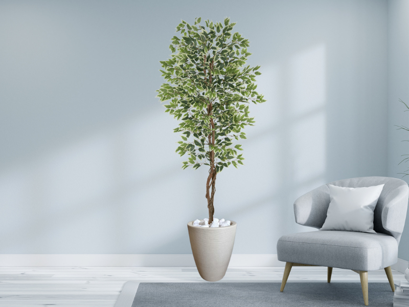 Planta Artificial Ficus Verde Creme 2,10m kit + Vaso Redondo Cinza 40cm - 2