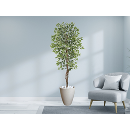 Planta Artificial Ficus Verde Creme 2,10m kit + Vaso Redondo Cinza 40cm - 2