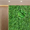 Ver imagem 1 de 16 Quadros Trevo Artificial para Jardim Vertical Interno e Muro Verde com Aspecto de Planta Natural