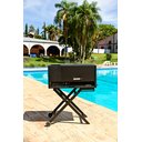 Ver mais imagens de Parrilla com Carrinho com Tampa