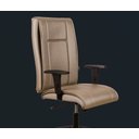 Ver imagem 1 de Cadeira Fly Presidente - Braço com Regulagem de Altura