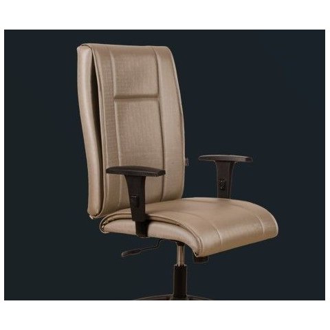 Cadeira Fly Presidente - Braço com Regulagem de Altura