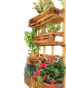 Ver imagem 2 de Jardim Vertical - Floreira Jv17