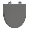 Assento Sanitário Laqueado Soft Close Studio Cinza Escuro para vaso Incepa - 1