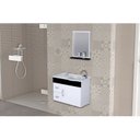 Ver imagem 1 de Conjunto Gabinete de Banheiro Suspenso 55cm 2 Gavetas e 1 Porta Cuba e Espelheira Siena