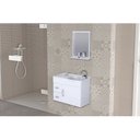 Ver imagem 1 de Conjunto Gabinete de Banheiro Suspenso 55cm 2 Gavetas e 1 Porta com Cuba e Espelheira Siena Aj Rorat