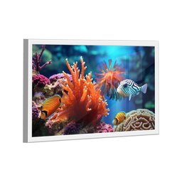 Quadro Peixes -- Br Artes - 4