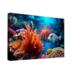 Quadro Peixes -- Br Artes - 2