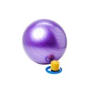 Ver imagem 1 de Bola Suíça Anti Explosão para Pilates com Bomba de Ar 65cm