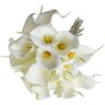 9 Flores Copos de Leite Toque Real Folhagem Premium Branco - 2