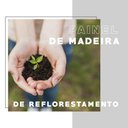 Ver imagem 5 de Balcão Milla Mdf 2 Portas 3 Gavetas Branco 120cm Carraro