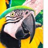 Toalha de Praia Buettner Veludo Multi Macaws 76cmx1,52m Resort Amarelo - 3