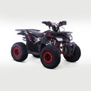 Ver mais imagens de Capa para Quadriciclo Cforce 125