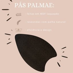 Ventilador de Teto Vidro Fechado Dunamis Pá Palmae Volare - 6