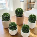 Ver imagem 2 de Kit 5 Buchinho Topiaria Bola Grama Artificial Decorativa 12cm
