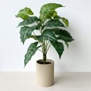 Ver imagem 5 de 1 Planta Artificial Filodendro Premium 55cm Toque Real Verde Permanente para Decoração