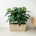 Ver imagem 4 de 1 Planta Artificial Filodendro Premium 55cm Toque Real Verde Permanente para Decoração
