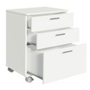 Ver imagem 7 de Gaveteiro Organizador Para Escritório 3 Gavetas Branco