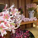 Ver imagem 2 de Buquê de Flores Artificiais Lírios Toque Real Branco e Rosa com 9 Flores | Formosinha