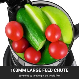 Amzchef Extrator de Suco Cold Press 250w com Filtro Duplo (preto) - 4