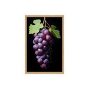 Ver imagem 1 de Quadro Decorativo Uvas: Mod. 0413 Collor-ink Mod.0413 60 X 90cm Marrom