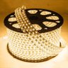 Mangueira Chata led 5050 branco quente 220v ip66 rolo 100m TYF Amarelo - 1