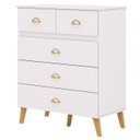 Ver imagem 1 de Cômoda para Quarto 91cm 5 Gavetas Ibiza Flex Branco/camarim - Vila Rica