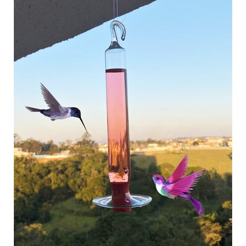 Bebedouro De Vidro Fino Disco Para Beija Flor E Pássaros