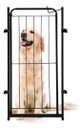 Ver imagem 2 de Cercado Cachorro Grade Portão 98x51cm Pets Dobrável Preto