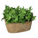 Ver imagem 6 de 15 Mini Buquê de Hera Artificial Realista Verde Premium para Mesa, Vasos e Decoração