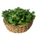 Ver imagem 7 de 15 Mini Buquê de Hera Artificial Realista Verde Premium para Mesa, Vasos e Decoração