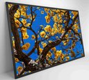 Ver imagem 7 de Quadro Ipê Amarelo em Árvore do Cerrado