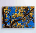 Ver imagem 5 de Quadro Ipê Amarelo em Árvore do Cerrado