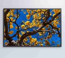 Ver imagem 4 de Quadro Ipê Amarelo em Árvore do Cerrado