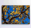 Ver imagem 6 de Quadro Ipê Amarelo em Árvore do Cerrado