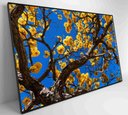 Ver imagem 2 de Quadro Ipê Amarelo em Árvore do Cerrado