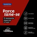 Ver imagem 7 de Prato Raso Tramontina Churrasco Classic em Porcelana Decorada 28 Cm