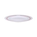 Ver imagem 1 de Prato Raso Tramontina Churrasco Classic em Porcelana Decorada 28 Cm